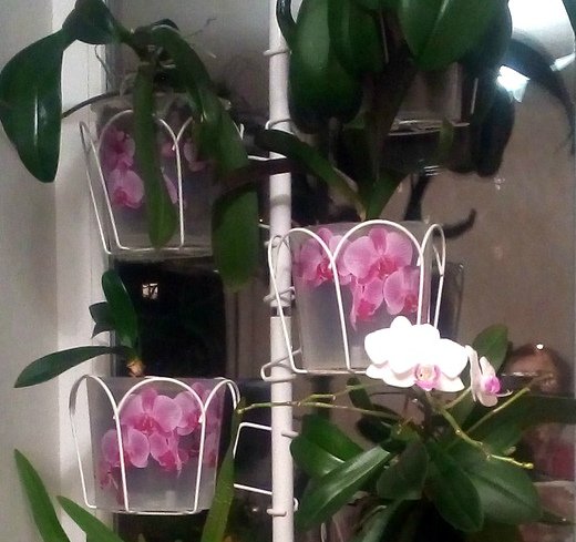 разборная подставка на пол и на окно металлическая. Фото N14