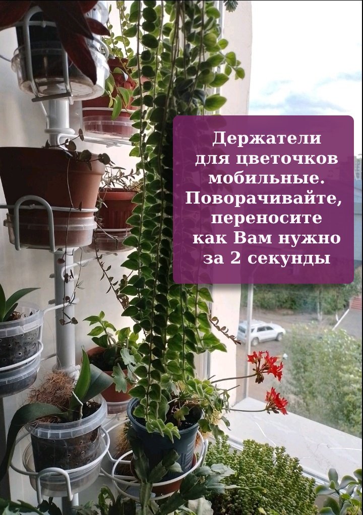 Распорка для маленьких растений Фиалочка. Фото N6
